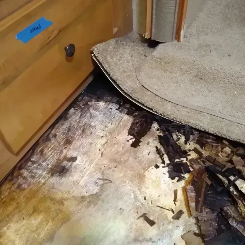 Best Wood Floor Water Damage Service in Goshen, IN